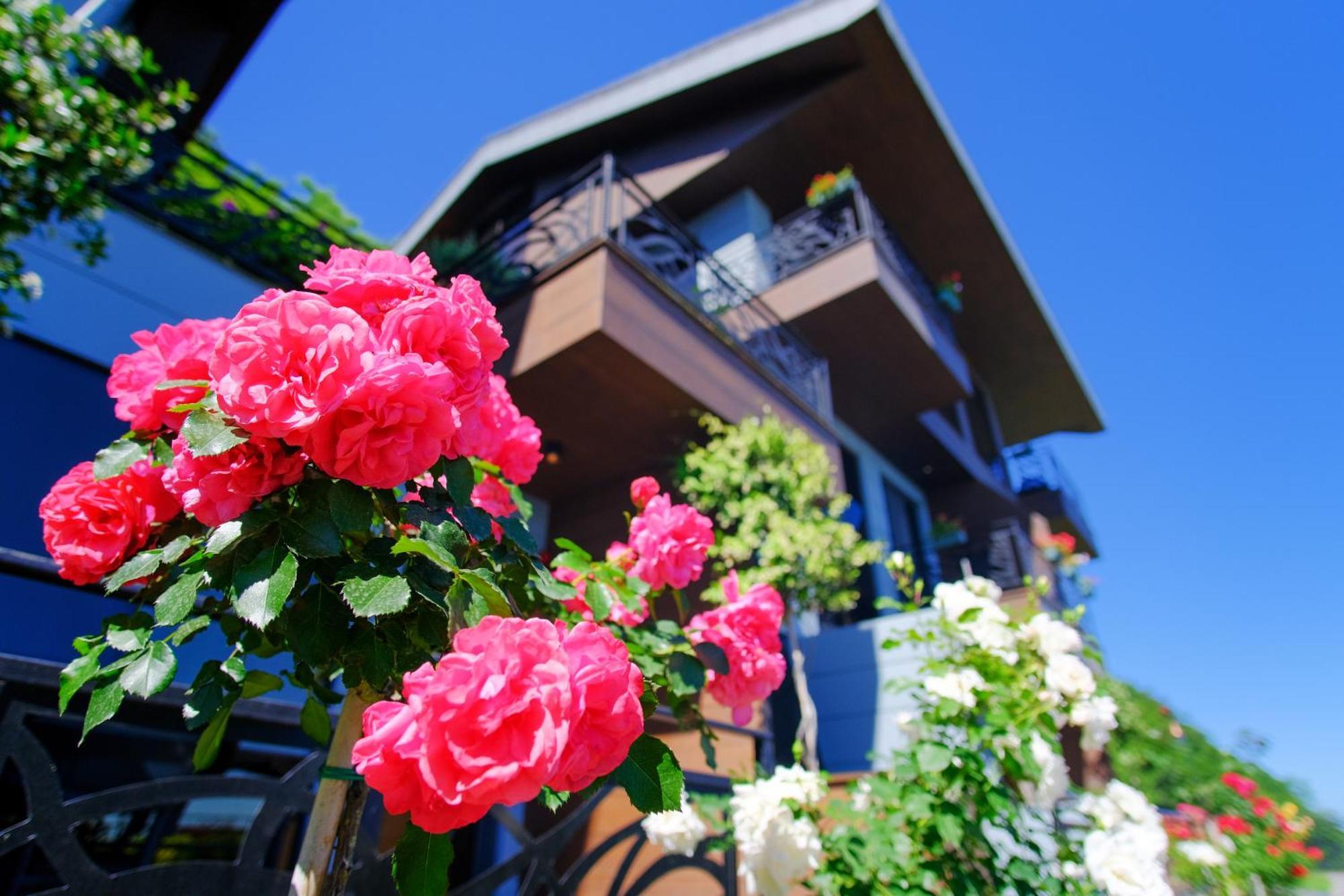 Peerless Villas Hotel Trabzon Eksteriør billede